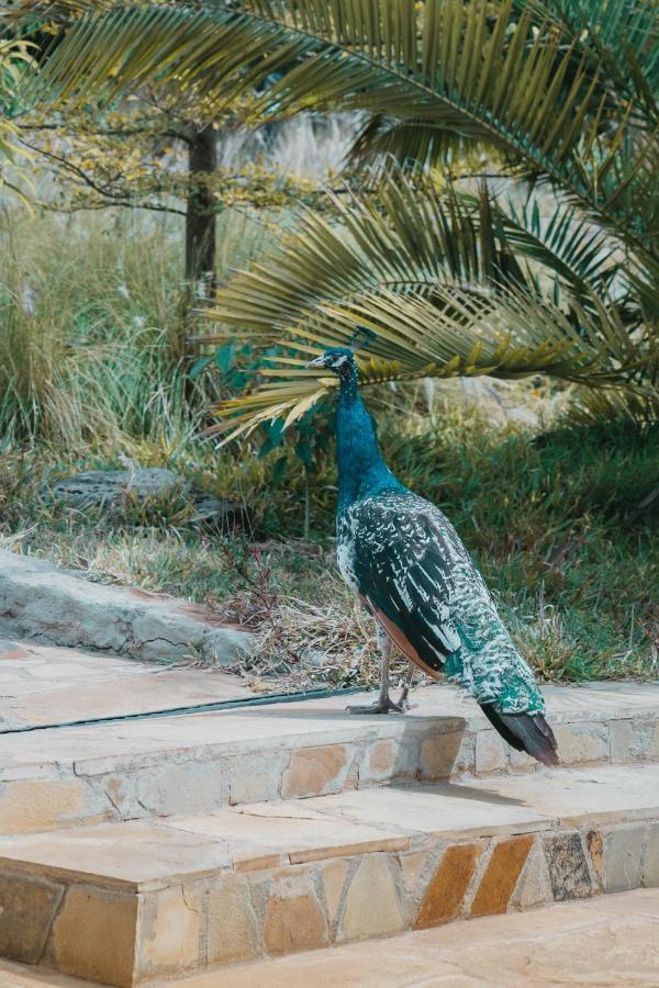 Saab Royale Resort Kajiado Buitenkant foto